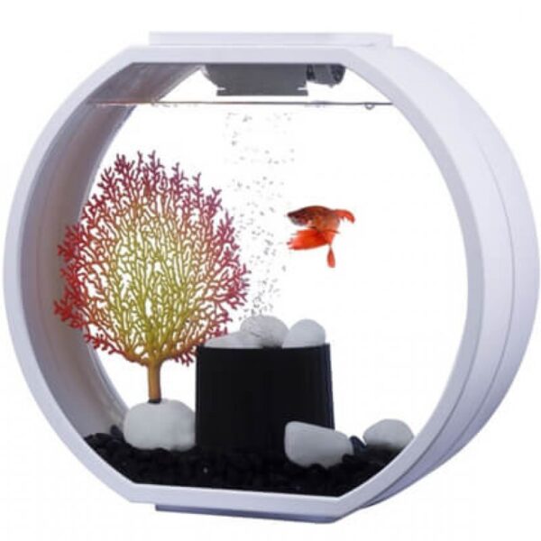 אקווריום דקו מיני Deco mini Aquarium