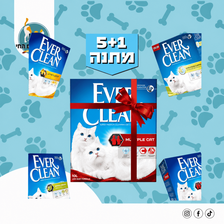 מבצע אבר קלין 5יח'+1יח' במתנה 10 ליטר